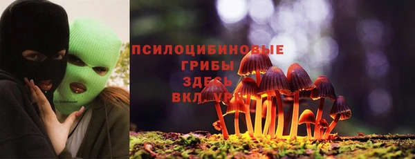марки nbome Алексеевка