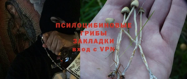 шишки Алексин