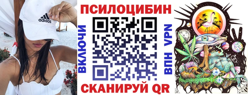 Галлюциногенные грибы Psilocybine cubensis Яхрома